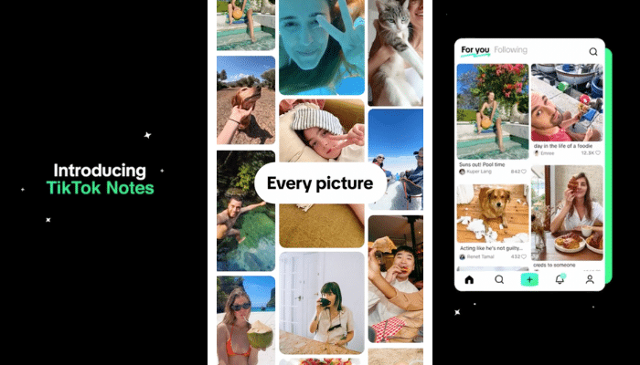 TikTok Notes (AU)